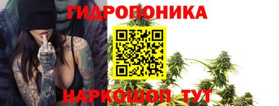 прущие грибы Бузулук